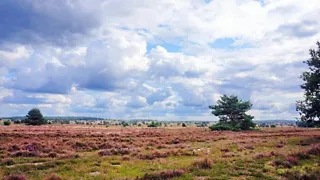 De Archemerbergroute bij Ommen