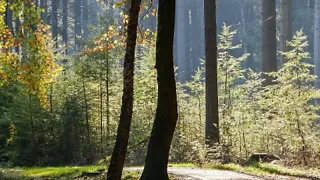 OV-stapper Holterberg