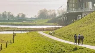 Door het bos naar de Wezepsche Heide