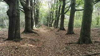 NS-wandeling Woldberg Steenwijk