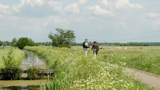 Wandelingen dwars door Nederland over het Diagonaalpad