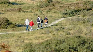 Dieren spotten in het Noord-Hollands Duinreservaat
