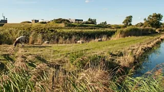 Verrassend veelzijdige route door de Helderse Duinen