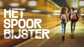 Het spoor bijster
