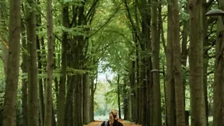 Wandelroute langs de uitkijktoren bij Steenwijk