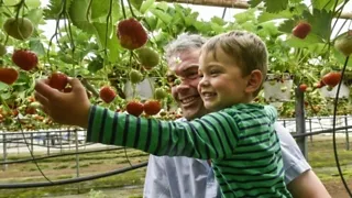 De plek voor aardbeienliefhebbers: Het Aardbeienterras in Rijsbergen