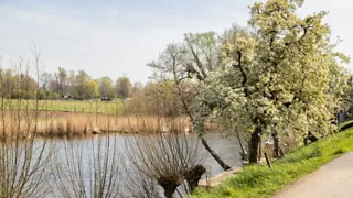 Uitdagende bloesemtocht door de Betuwe