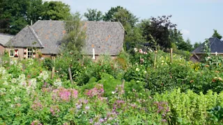 Tulpen, dahlia's en rozen in Pluktuin Stoutenburg