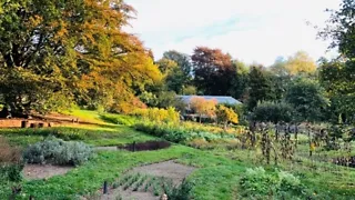 Bloemenpluktuin in hartje Arnhem: Kweekland