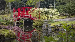 De Japanse tuin van Landgoed Clingendael in Den Haag