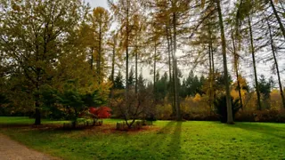 Botanisch Belmonte Arboretum in Wageningen 