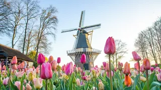 Bloemen bewonderen bij Keukenhof in Lisse