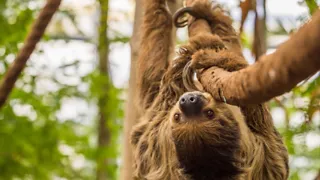 WILDLANDS Emmen
