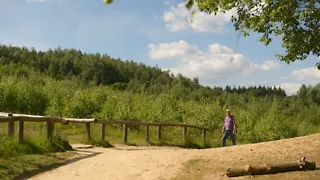 Beschrijving