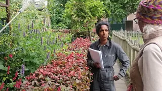 Ontdek de Haagse Schilderswijk door de ogen van haar bewoners