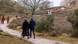 Koninklijk wandelen over de Veluwezoom met de NS-wandeling Veluwezoom