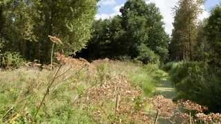 Van kabouterpad tot kunstwandeling in het Purmerbos