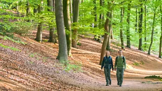 NS-wandeling Veluwezoom