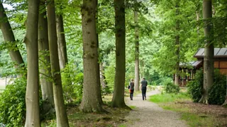 Beschrijving