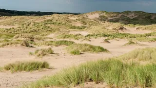 NS-wandeling Meijendel