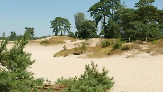 NS-wandeling Lange Duinen