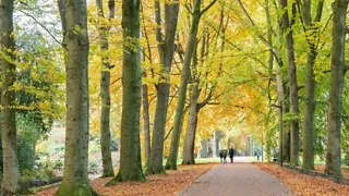 NS-wandeling Twentse beken