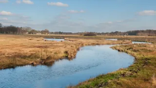 Overijsselse Buitenplaatsen