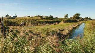NS-wandeling Helderse Duinen