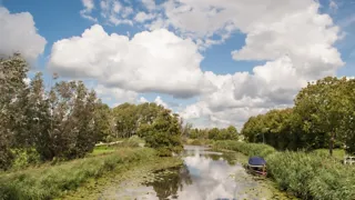 Beschrijving