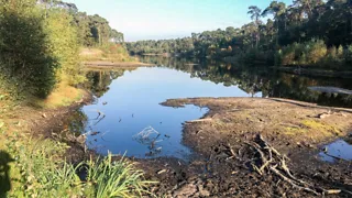 NS-wandeling Kampina