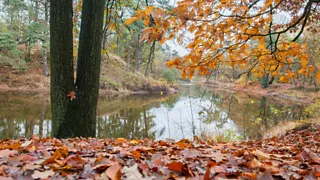 NS-wandeling Vughtse Lunetten