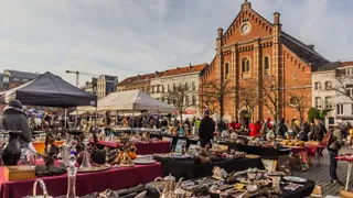 11.30 uur: Ga schatzoeken op het Vossenplein