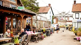 12:30 uur: Wandelen over STEK en lunchen bij T-Huis