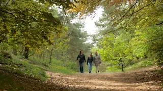 NS-wandeling Utrechtse Heuvelrug