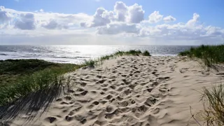NS-wandeling Noord-Hollands Duinreservaat