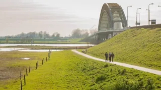 Beschrijving