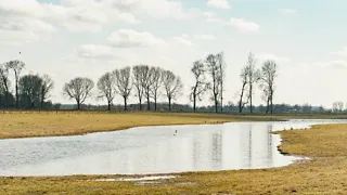 NS-wandeling Uiterwaarden van Cortenoever: langs dijken, uiterwaarden en oude straten