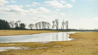 NS-wandeling Uiterwaarden van Cortenoever