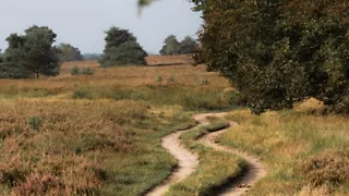 Wandelroute over Hoog Buurlo