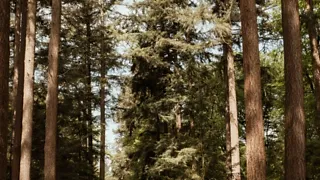 Oranjewandeling door het Paleispark op Kroondomein Het Loo
