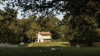 11:00 uur: Wandel Paaltjesroute Paars in het Asserbos