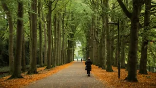 Almelo