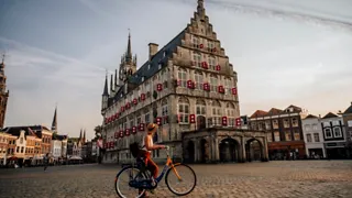 Gouda