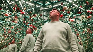 Museum of Illusions Maastricht