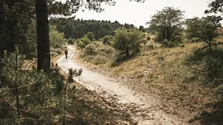 NS-wandeling Kennemerduinen