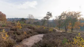 NS-wandeling Veluwezoom