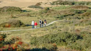 Over hoge grasduinen in het Noord-Hollands Duinreservaat