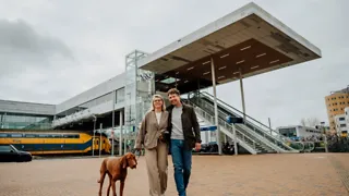 Vijf mooie wandelroutes met de hond 