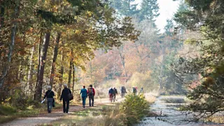 Vanuit het Mastbos naar bruisend Breda