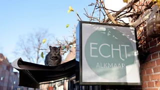 Echt: biologisch en lokaal eten in hartje Alkmaar